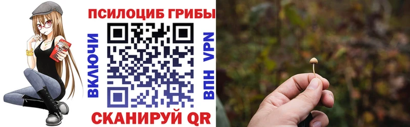 наркошоп Вилюйск Псилоцибиновые грибы Cubensis