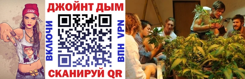 Бошки Шишки White Widow  где найти   darknet официальный сайт  Вилюйск 